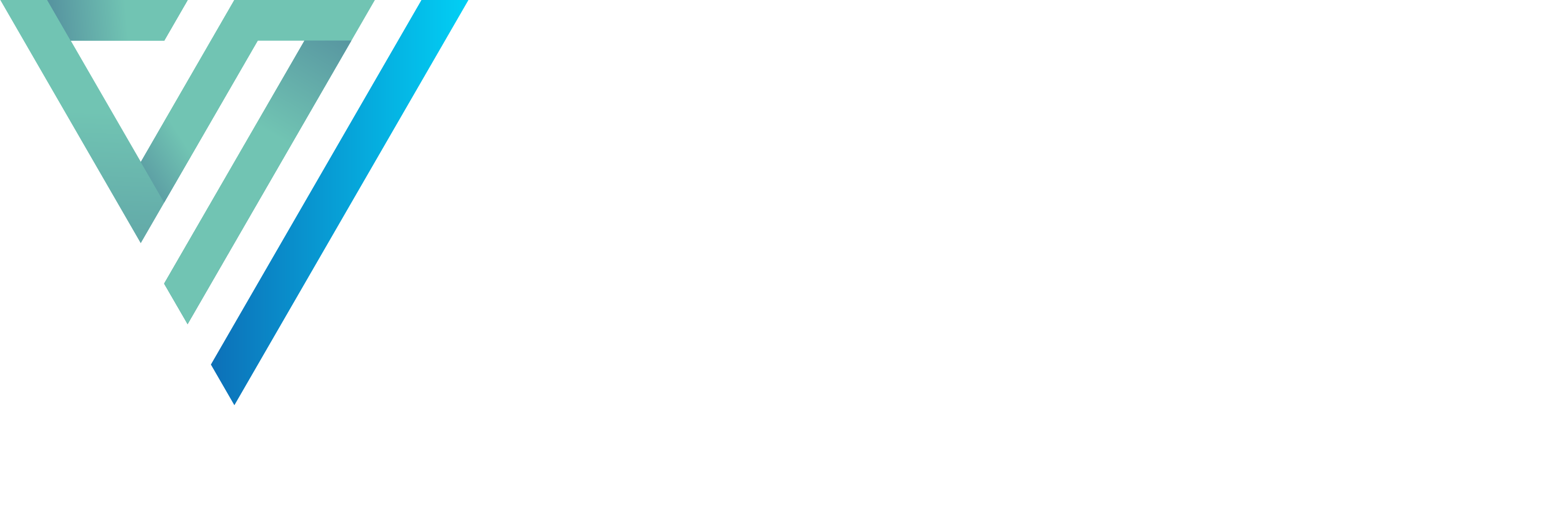 VisionOne